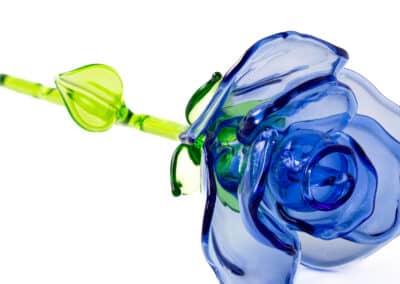 Rose by Nathan Pautsch