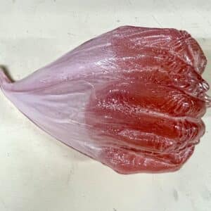 Serotiny Seed in Ruby