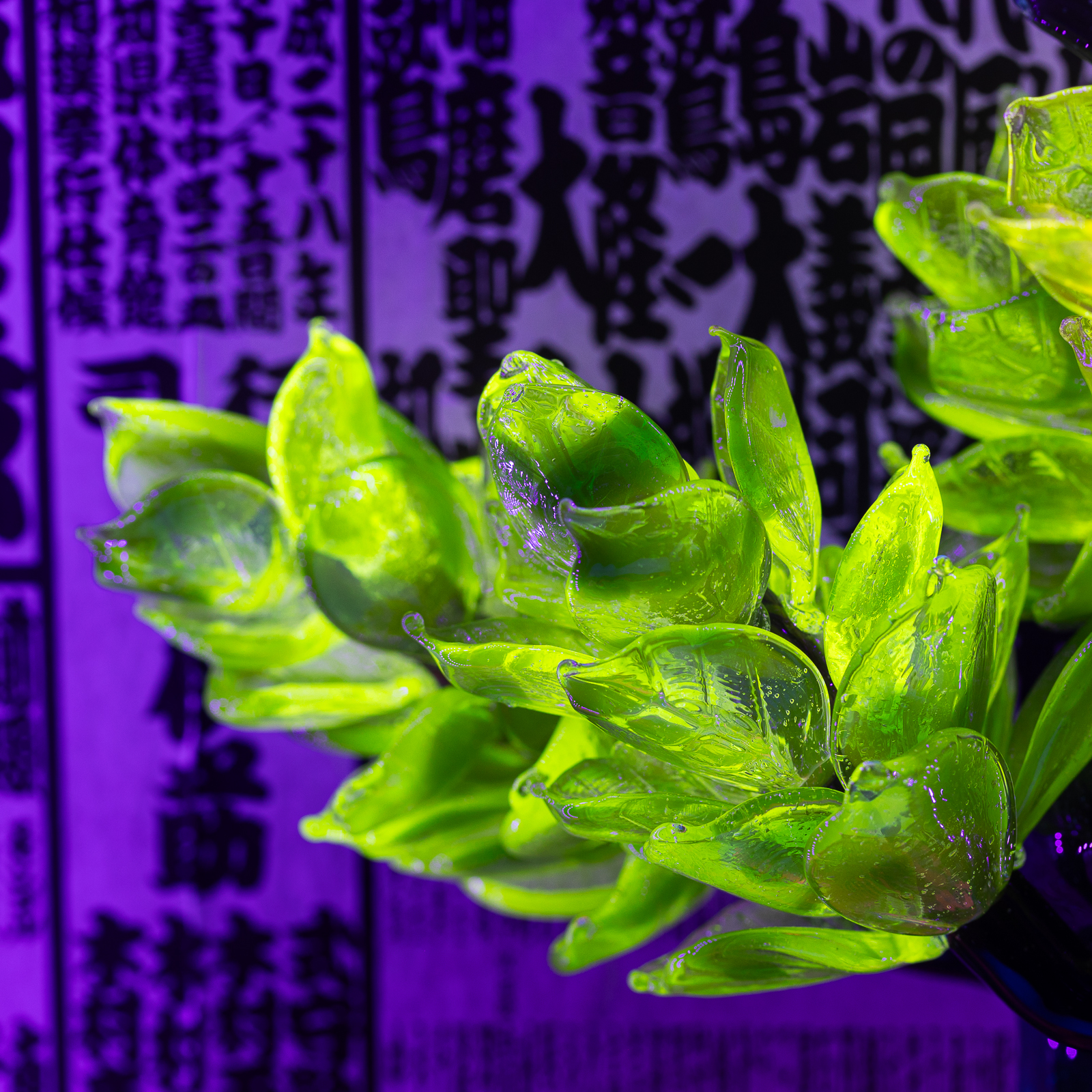 Bonsai by SiNaCa Team Collaboration