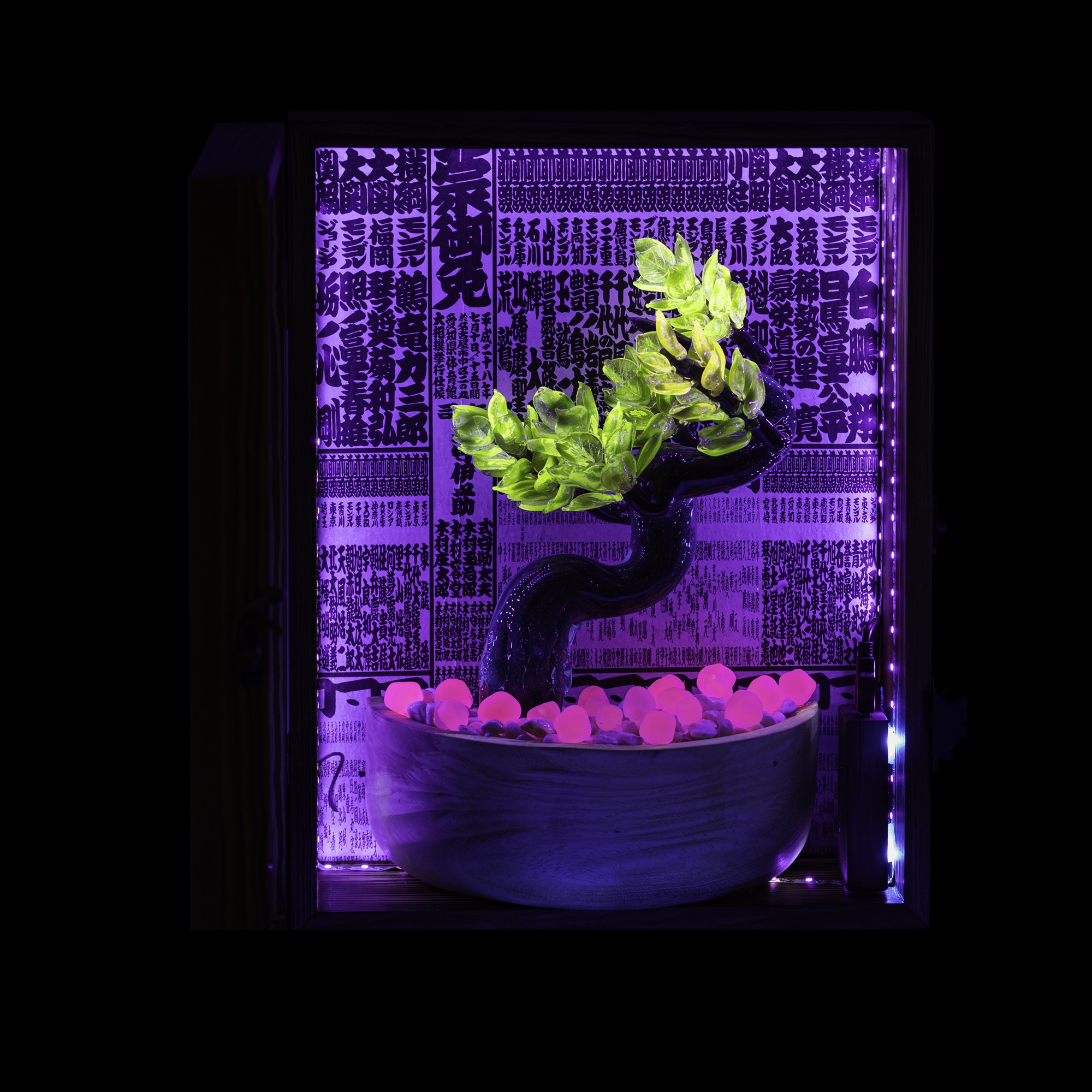Bonsai by SiNaCa Team Collaboration