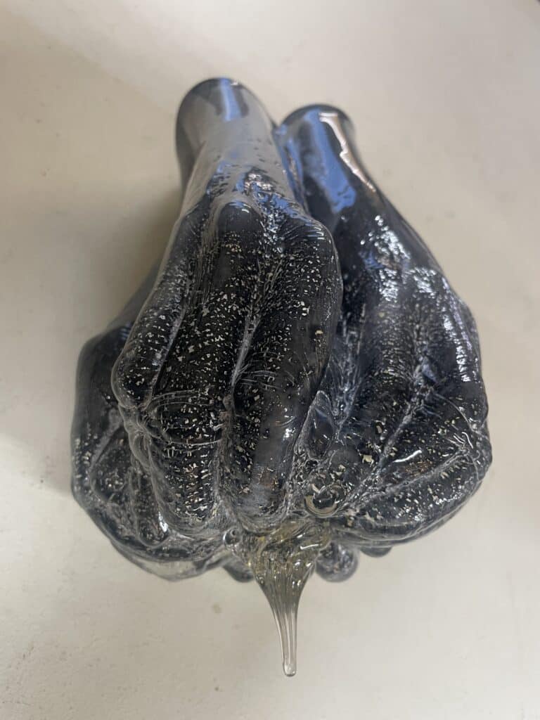 Serotiny Seed in Black